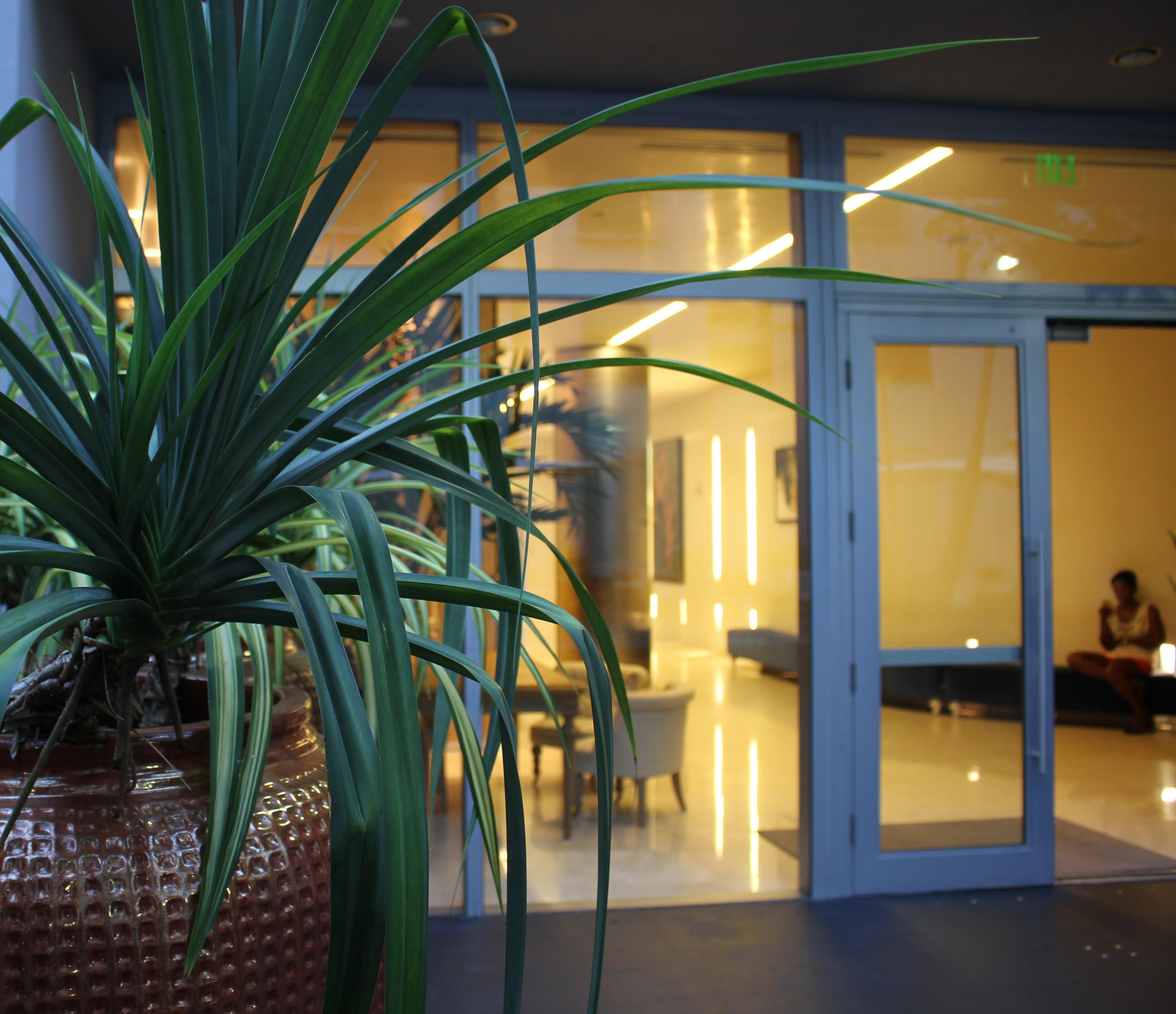 Boulan South Beach Miami Beach Exterior foto